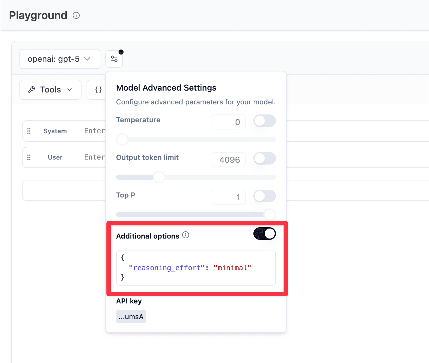 Additional provider options in LLM calls in playground and evals
